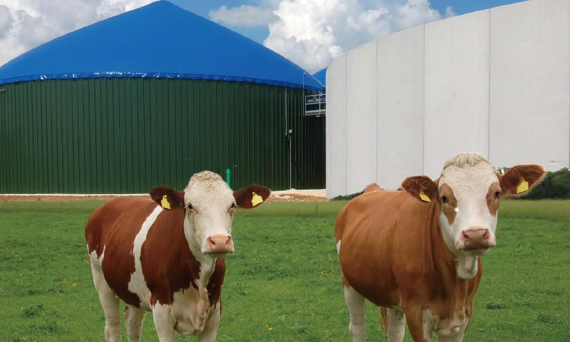 Cattle-farm-biogas-power-generation-ETTES-POWER